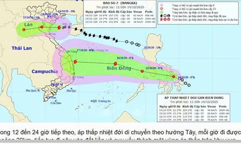 Áp thấp nhiệt đới mới có khả năng mạnh lên thành bão số 8